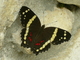 P1010853