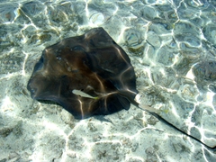 P1060750