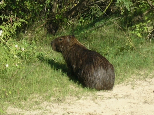 P1060011