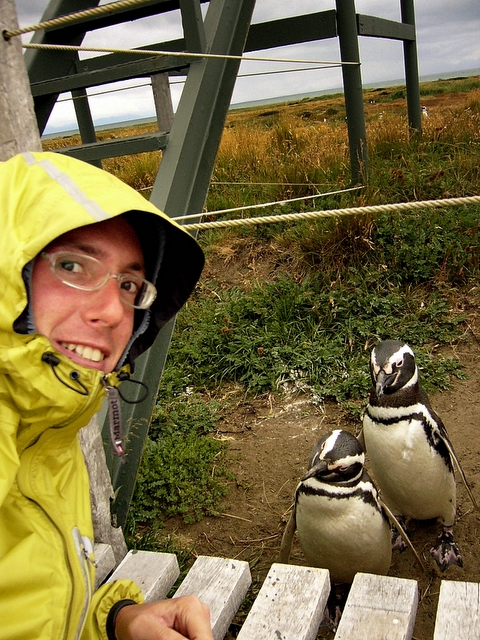 sicakkanli penguenler bunlar