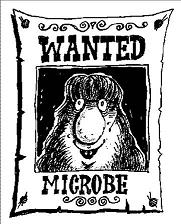 Microbe_1_1